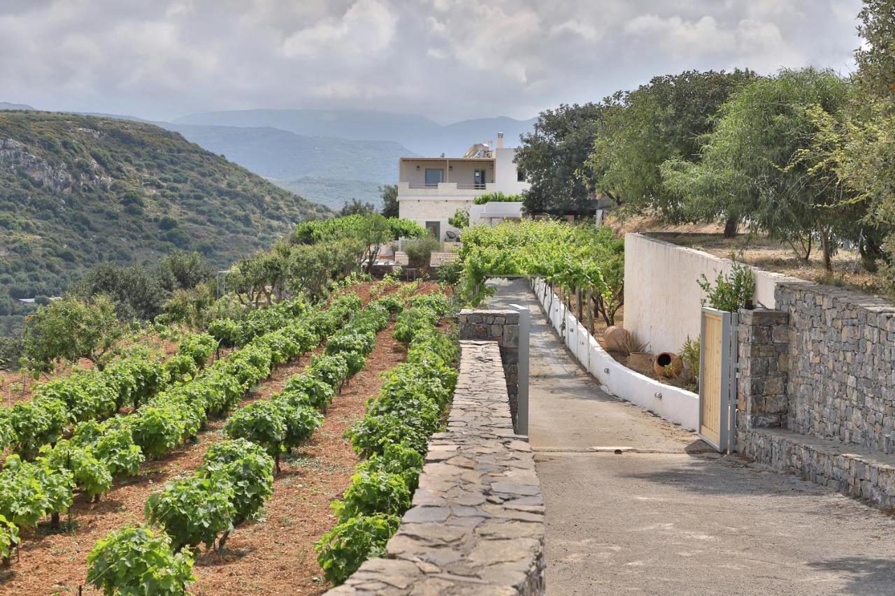 Amvikas Suites-Sitia Buitenkant foto