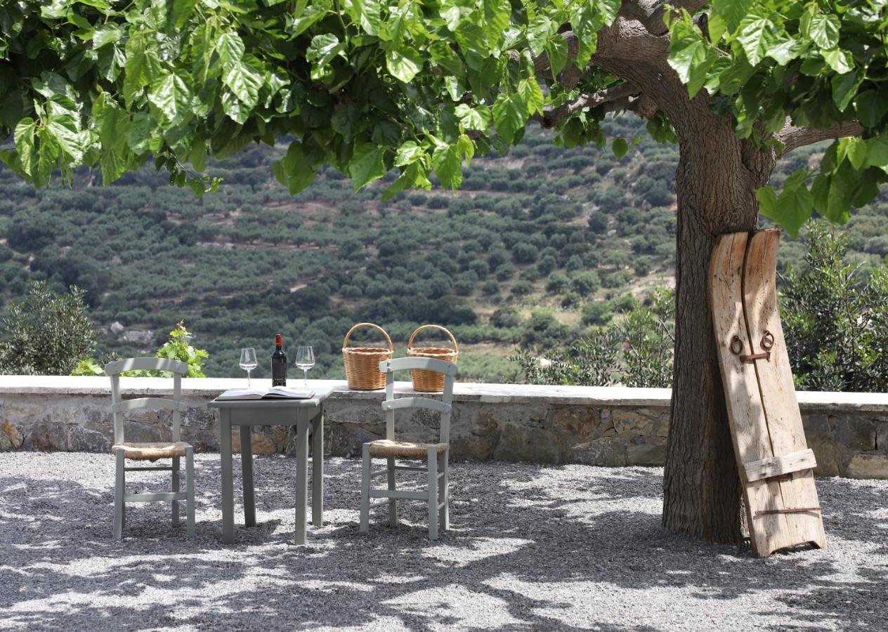 Amvikas Suites-Sitia Buitenkant foto