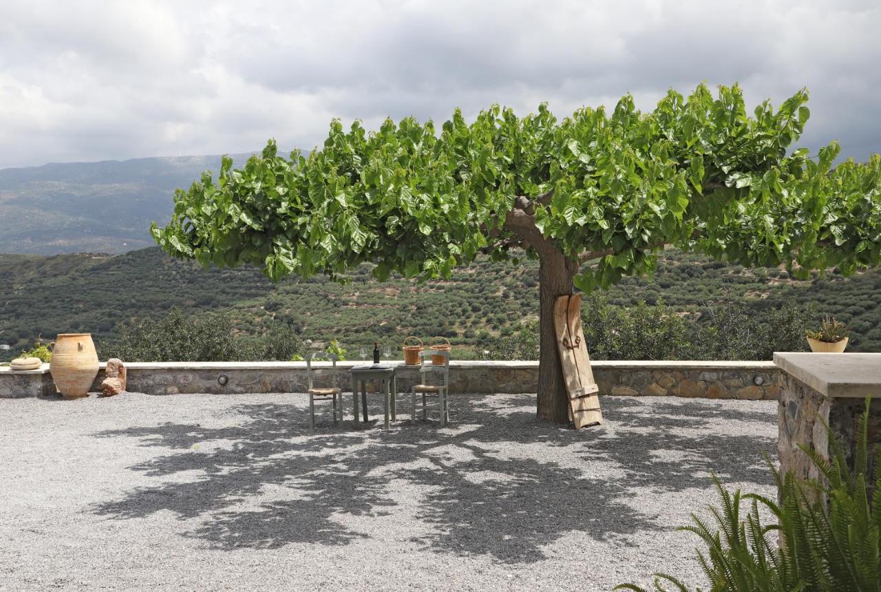 Amvikas Suites-Sitia Buitenkant foto