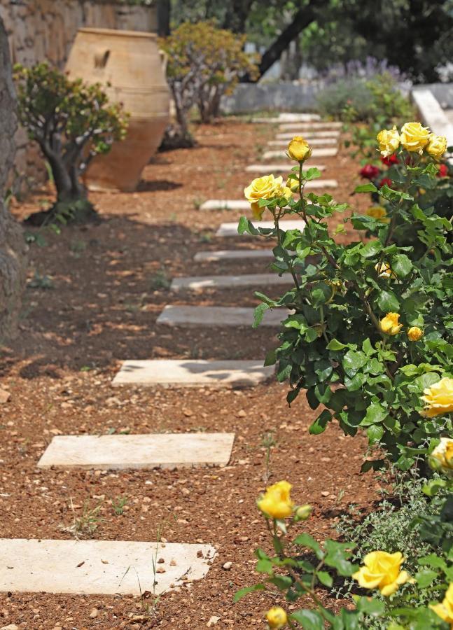Amvikas Suites-Sitia Buitenkant foto