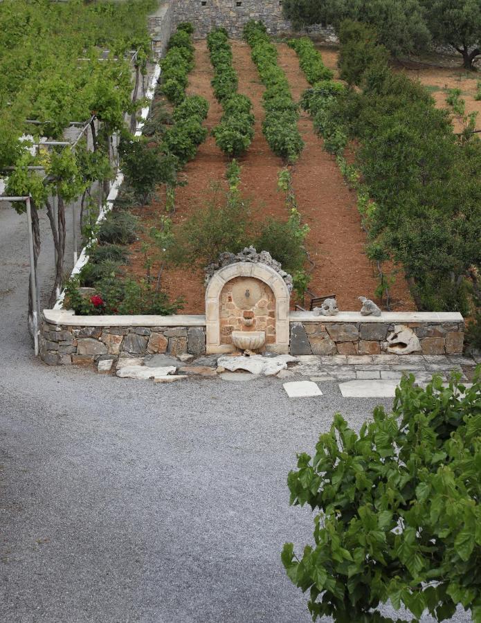 Amvikas Suites-Sitia Buitenkant foto